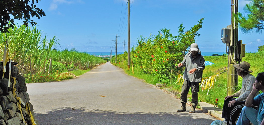 石垣島の恵まれた環境